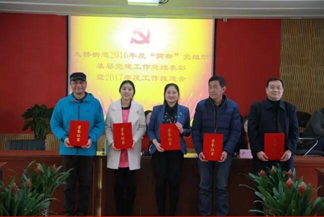 欧坚网络荣获两新先进党总支,欧坚网络